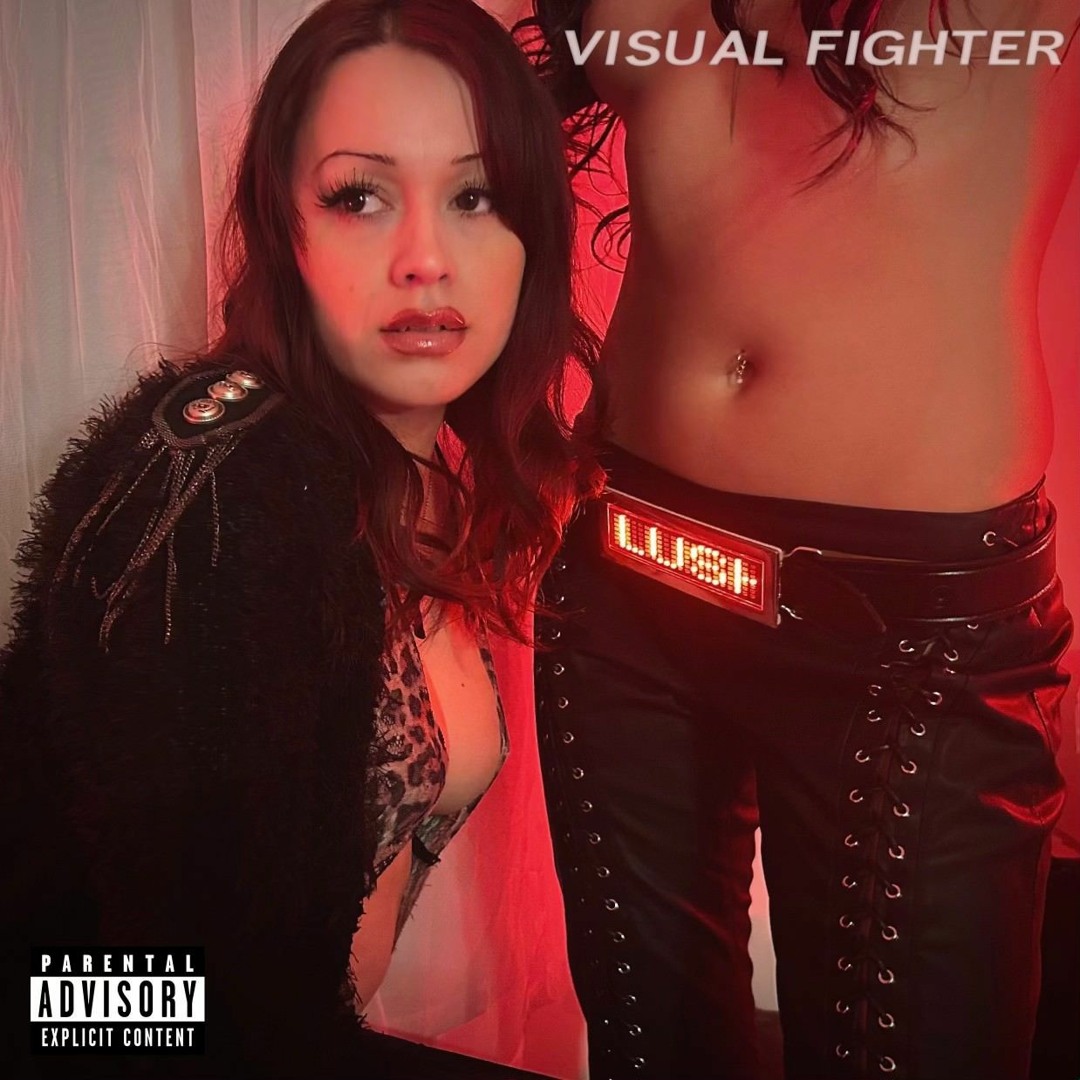 Stream Visual Fighter - lush by AEMNIO | Listen online for free on ...
