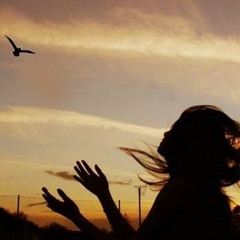 Khúc Hát Chim Trời - Tam Ca Thế Hệ Mới