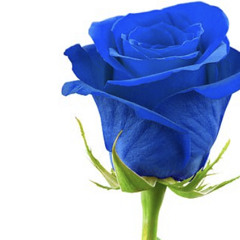 Shaq_Uhz -Keep It True