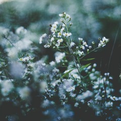 Dance With Me Tonight by Hugh Grant - xannedaymorning (cover)