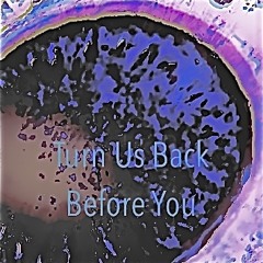 Turn us back before you