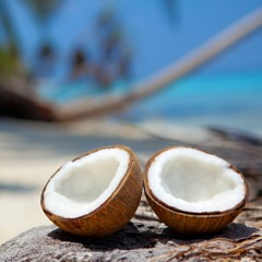 Coconut Island