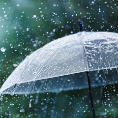 Rainy Day