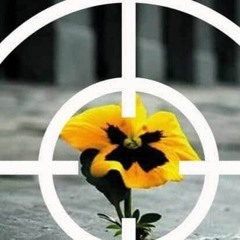 Target (Ціль)