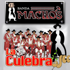 Banda Machos - La Culebra (Chan Flip)