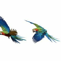 Saturday Chillout Session