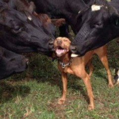 everything matters (when it comes to you) (altbdh flip)