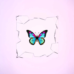 Detrás del cristal V2