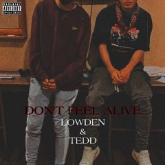 Don't Feel Alive - Lowden x Tedd