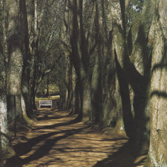 1) Two Sunny Days