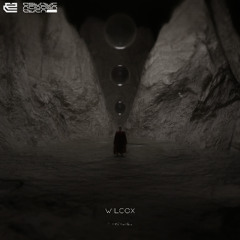 Wilcox - Mirrorball