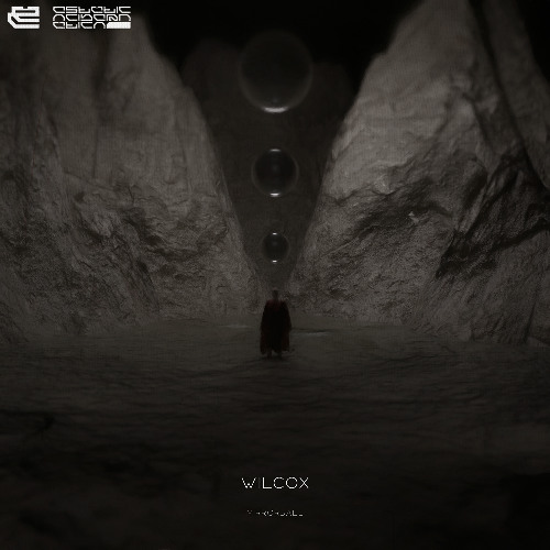 Wilcox - Mirrorball