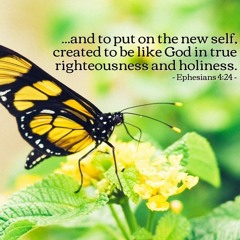 We Are Created In True Holiness