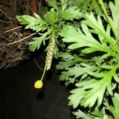 You  ain't gonna (Prod.Roretien)