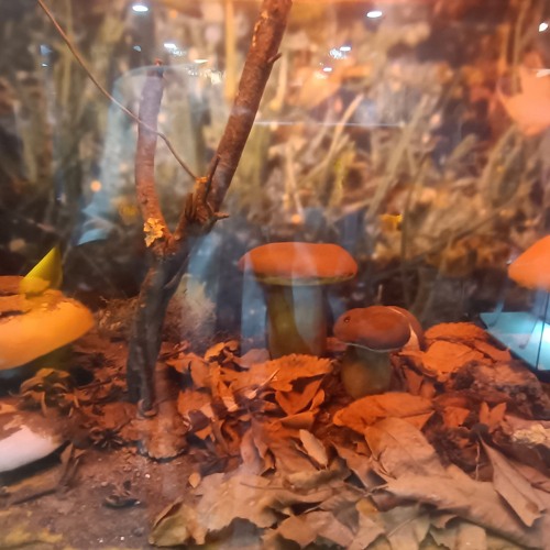 MELODIA ROTA DE ROCKMAN.MP3