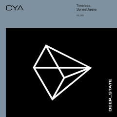 Synesthesia (Radio Edit)