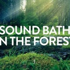 Sound Bath In The Forest ✦ A=432Hz ✦ A Serene Forest Bath Accompanied By Gentle Ambient Tones