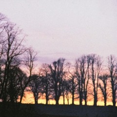 autumn evening