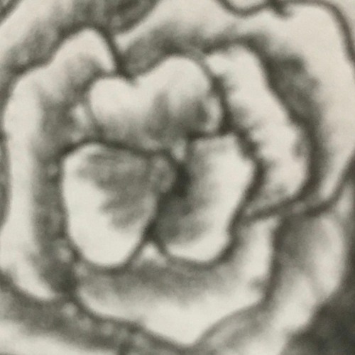 Stream Trancephobia II Ein Tag Am Meer Remix by Thorsten Metz Listen