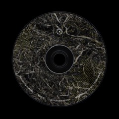 PREMIERE: KoketaMC - C_THRU (North Mix) [Academeia]