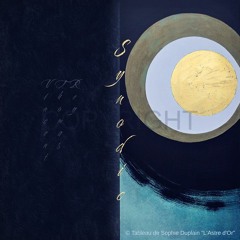 "À Nos Plumes, Nous Attend La Lune ! (2023)" (© Extrait) Album "Synodic"