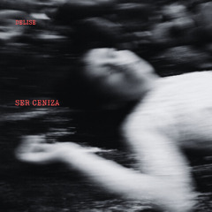 Ser Ceniza
