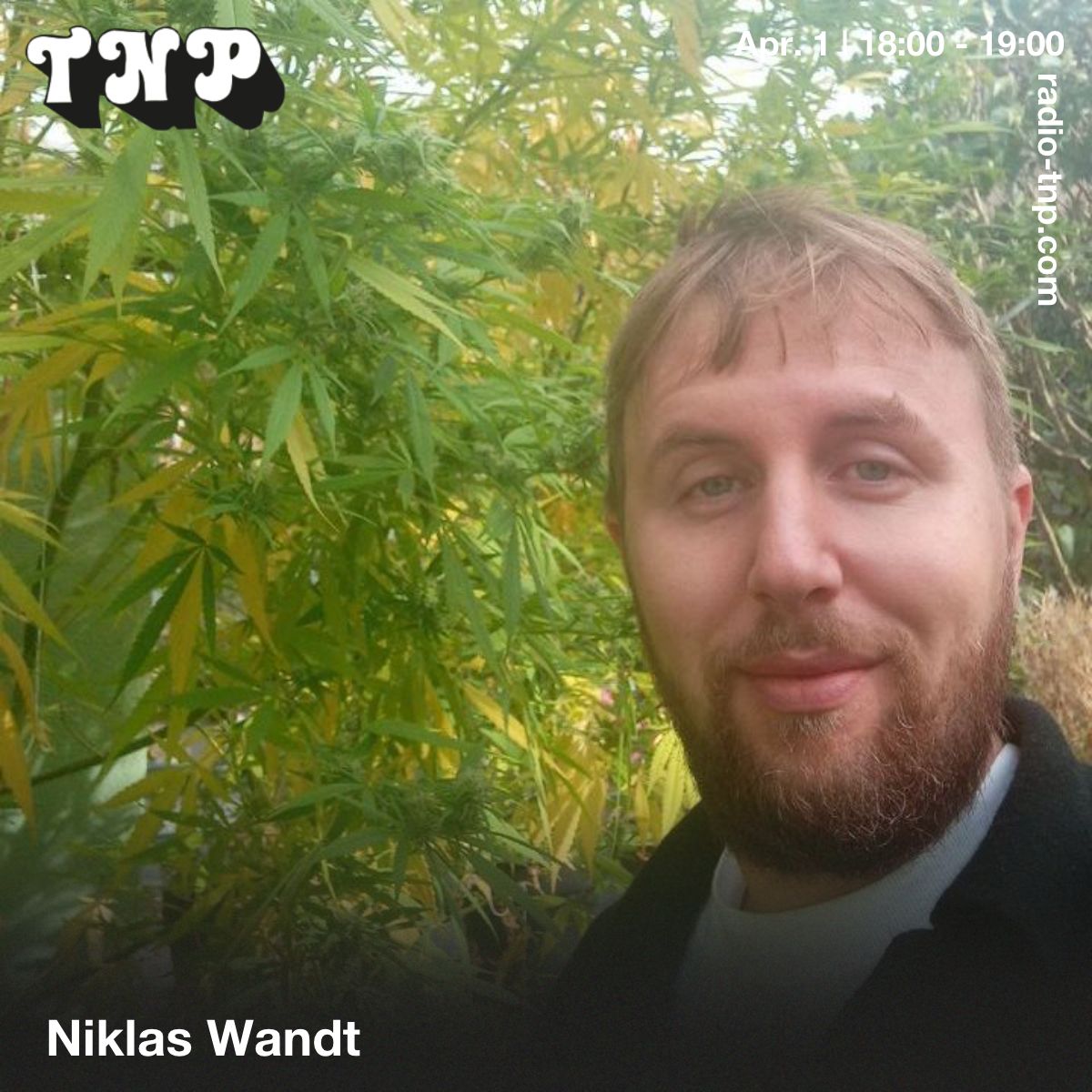 Niklas Wandt