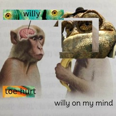 SwaggyPeen - Willy On My Mind (chuggie Stubbed His Toe) Feat. ChuggieWee