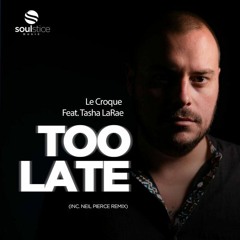 Le Croque & Tasha LaRae - Too Late (Neil Pierce Remix)