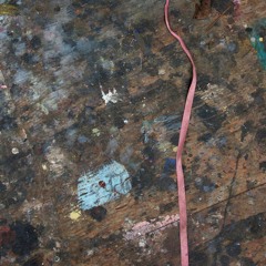 Sweeping the ground in the presence of the impossible (excerpt)