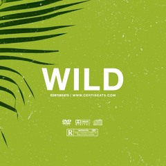 (FREE) Omah Lay ft Wizkid & Burna Boy Type Beat - "Wild" | Afrobeat Instrumental 2022