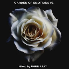 Garden of Emotions #1
