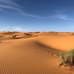 DESERT  SYMPHONY   1