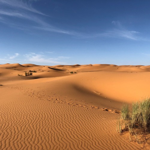 DESERT  SYMPHONY   1