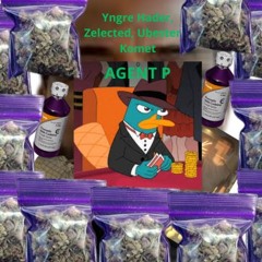 Zelected, Ubestemt komet, Yngre hader - AGENT P