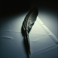 Letters Never Sent