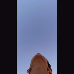 ‎⁨ضيعنا الحب - Dj