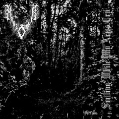 Personal Forest (Psychonaut 4) (Cover)