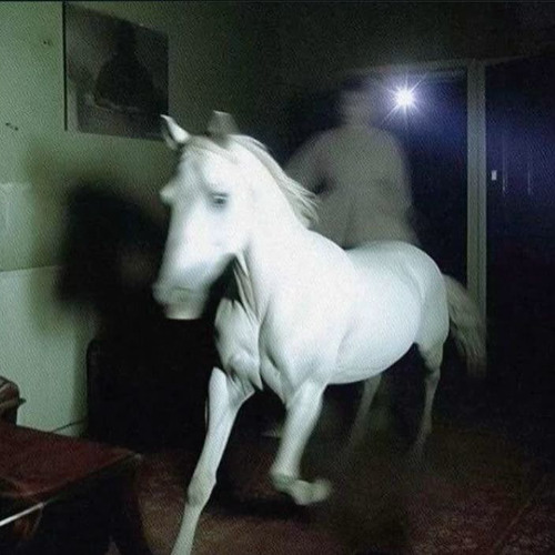 10MOI