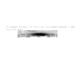 259-2025-06-23