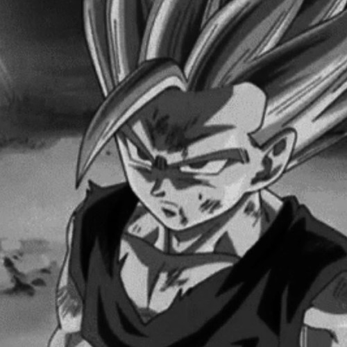 protect - go pro (slowed + reverb)