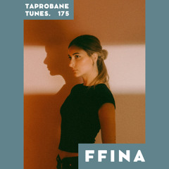 FFINA | TAPROCAST 175