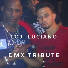 dmx tribute hows it going down