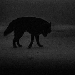 whatsaheart - howling