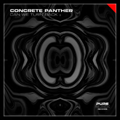 Concrete Panther & Juan Del Chambo - Why Can_t We See (Original Mix)