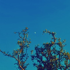 Summer Blue
