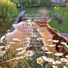 never get over u <ella mai remix by 98polecat>