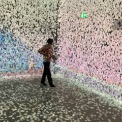 Raw Excursions I & II