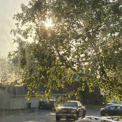 𝘽𝙪𝙡𝙡𝙙𝙤𝙯𝙞𝙣' 𝘽𝙚𝙖𝙩𝙯 - Fish Feather