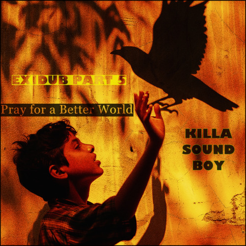 EXIDUB PART 5 -Pray for a Better World (Future Dub / Dub Reggae)